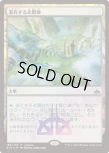 進化する未開地/Evolving Wilds (その他 プロモ)