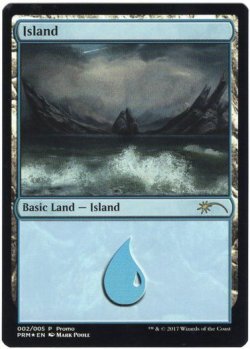 画像1: 島/Island (その他 プロモ)【GiftPack】