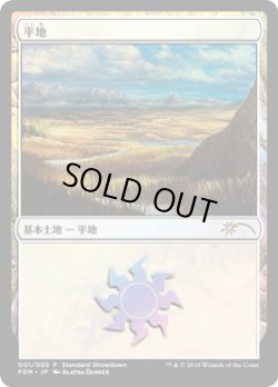 画像1: 平地/Plains (その他 プロモ)【Alayna Danner】