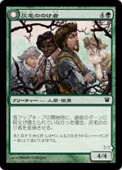 画像1: 灰毛ののけ者/Grizzled Outcasts (ISD)《Foil》