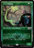 エルフの再生者/Elvish Rejuvenator (FNM)