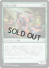 群棲する猛竜/Ranging Raptors (XLN)《Foil》