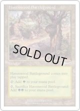 ヘイヴンウッドの古戦場/Havenwood Battleground (Beatdown)