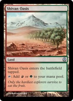 画像1: シヴのオアシス/Shivan Oasis (DDE)