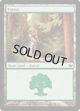 森/Forest (DDG)