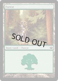 森/Forest (DDG)