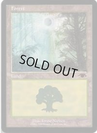 森/Forest (GURU Land)
