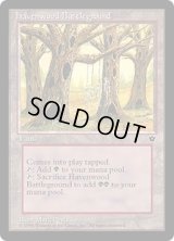 ヘイヴンウッドの古戦場/Havenwood Battleground (FEM)