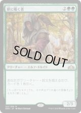 獣に囁く者/Beast Whisperer (Prerelease Card)