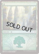 森/Forest (その他 プロモ)【Ravnica Weekend Selesnya】