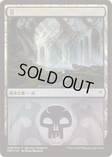 沼/Swamp (その他 プロモ)【Ravnica Weekend Dimir】