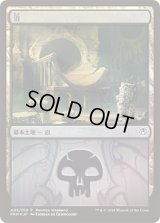 沼/Swamp (その他 プロモ)【Ravnica Weekend Golgari】