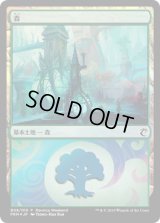 森/Forest (その他 プロモ)【Ravnica Weekend Simic】
