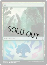 森/Forest (その他 プロモ)【Ravnica Weekend Gruul】