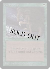 巨大化/Giant Growth (LEA)