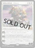 賢明な助言者、アジャニ/Ajani, Wise Counselor (M19)《Foil》