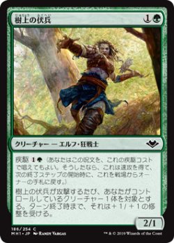 画像1: 樹上の伏兵/Treetop Ambusher (MH1)