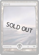 冠雪の沼/Snow-Covered Swamp (MH1)