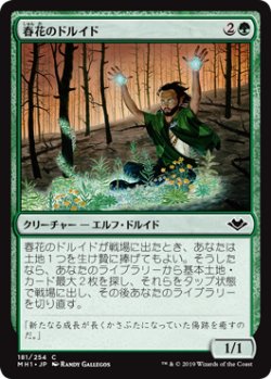 画像1: 春花のドルイド/Springbloom Druid (MH1)