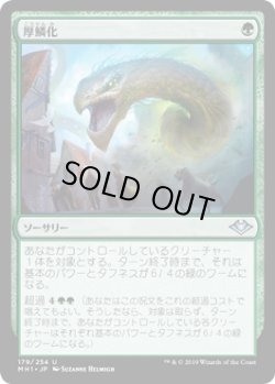 画像1: 厚鱗化/Scale Up (MH1)