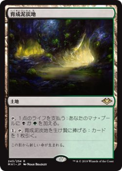 画像1: 育成泥炭地/Nurturing Peatland (MH1)