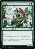 花の壁/Wall of Blossoms (MH1)
