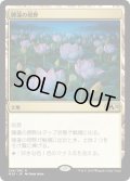 睡蓮の原野/Lotus Field (Prerelease Card)