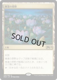 睡蓮の原野/Lotus Field (M20)