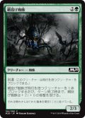 網投げ蜘蛛/Netcaster Spider (M20)