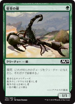 画像1: 菅草の蠍/Sedge Scorpion (M20)