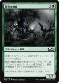 網投げ蜘蛛/Netcaster Spider (M20)《Foil》