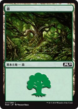 画像1: 森/Forest 【Ver.1】 (M20)《Foil》