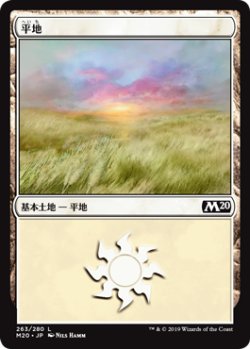 画像1: 平地/Plains 【Ver.3】 (M20)