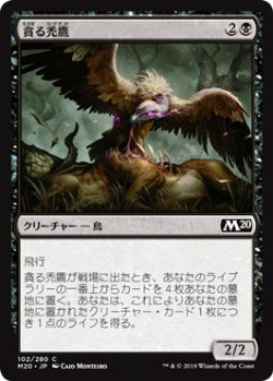 画像1: 貪る禿鷹/Gorging Vulture (M20)《Foil》