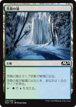 画像1: 茨森の滝/Thornwood Falls (M20)《Foil》