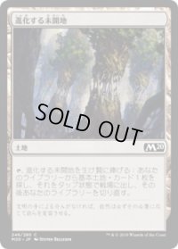 進化する未開地/Evolving Wilds (M20)《Foil》