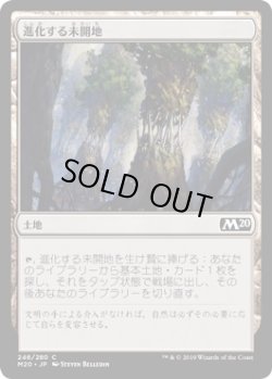 画像1: 進化する未開地/Evolving Wilds (M20)《Foil》