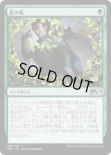 夏の帳/Veil of Summer (M20)《Foil》