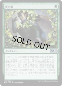 夏の帳/Veil of Summer (M20)《Foil》