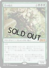 茨の騎兵/Cavalier of Thorns (M20)《Foil》