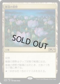睡蓮の原野/Lotus Field (M20)《Foil》