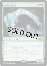 夜群れの伏兵/Nightpack Ambusher (M20)《Foil》