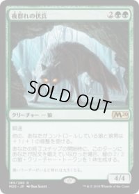 夜群れの伏兵/Nightpack Ambusher (M20)《Foil》