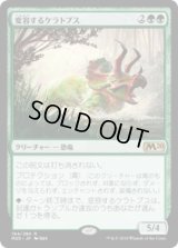 変容するケラトプス/Shifting Ceratops (M20)《Foil》