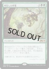呼応した呼集/Shared Summons (M20)《Foil》