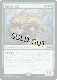 覚醒根の精霊/Wakeroot Elemental (M20)《Foil》