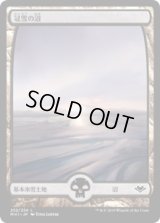 冠雪の沼/Snow-Covered Swamp (MH1)《Foil》