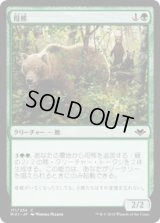 母熊/Mother Bear (MH1)《Foil》