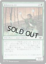 春花のドルイド/Springbloom Druid (MH1)《Foil》