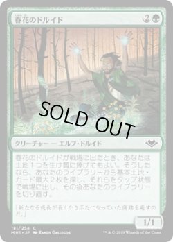 画像1: 春花のドルイド/Springbloom Druid (MH1)《Foil》